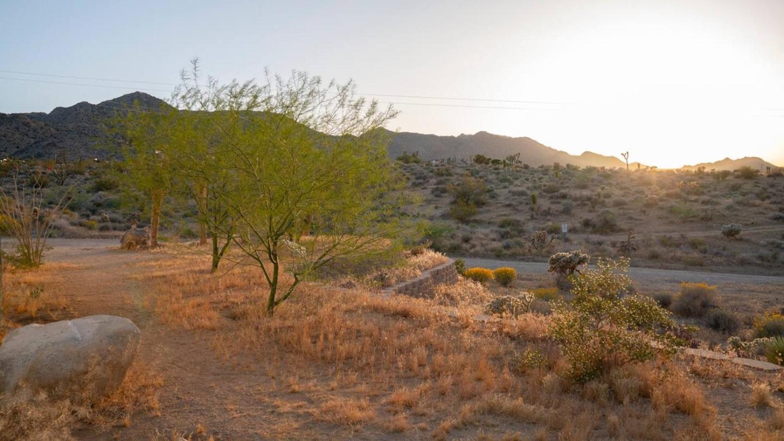 Experience Desert Serenity Gateway To ג'ושואה טרי מראה חיצוני תמונה